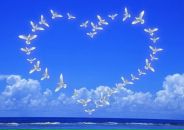 Фотография Солнышко-Ясное Екатериночки