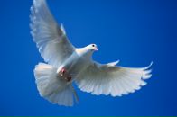 Фотография Владимировны Владиславы