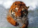 Фотография Антон Берников