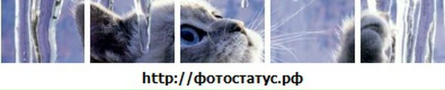 Оля Білаш фотография #50 (источник - https://vk.com/id20184476)