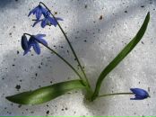 Фотография Гусаковой Елены