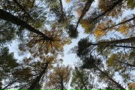 Фотография Гимрановой Эльвиры