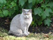 Фотография Рыжковой Марины