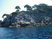 Динара Каевич фотография #44 (источник - https://vk.com/id376105)