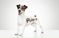 Фотография Чубариной Юлии