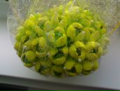 Любовь Κарасева фотография #15 (источник - https://vk.com/id131663452)