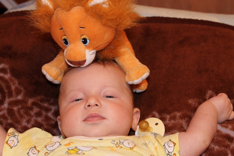 Сергей Чемлев фотография #46