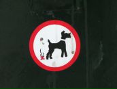 Фотография Буяновой Дарьи