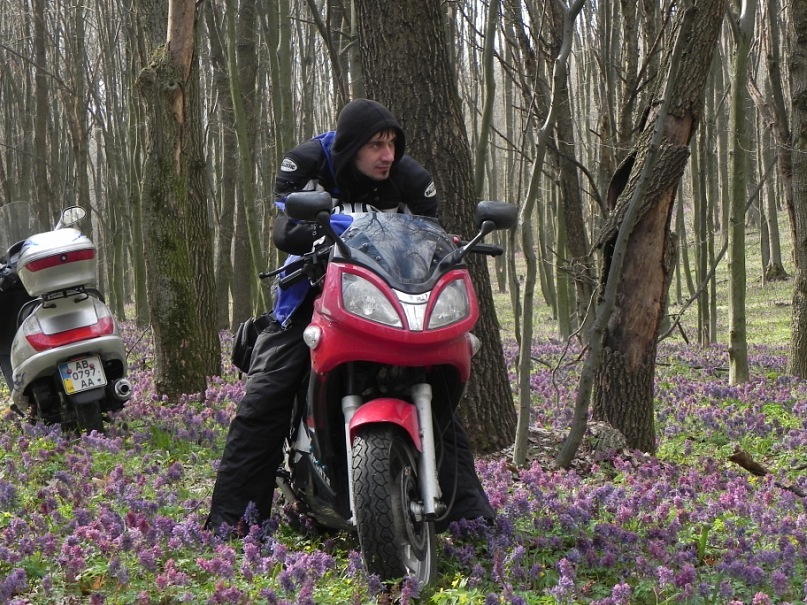 Дмитрий Вишняков фотография #33