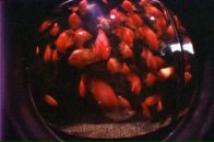 Daria Plotnikova фотография #39 (источник - https://vk.com/id4843259)