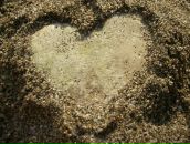 Фотография Кочетковой Елены