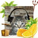 Alex Fox фотография #39 (источник - https://vk.com/id40662)