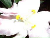 Фотография Кудряшовой Марии