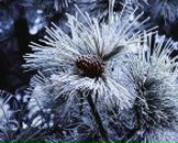 Фотография Баканиной Нади