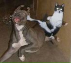 Фотография Константиновой Анны