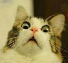 Фотография Дубошина Паши