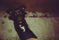 Гриша Чернобривец фотография #16 (источник - https://vk.com/id3274479)