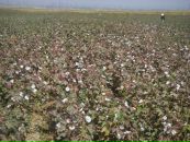 Konstantin Sharipov фотография #29 (источник - https://vk.com/id840186)