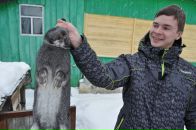 Фотография Алмазова Михаила