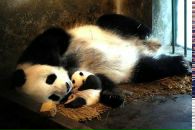 Фотография Березиной Анны