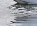 Ірина Швець фотография #27 (источник - https://vk.com/id146166672)