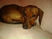 Фотография Нефедова Никиты