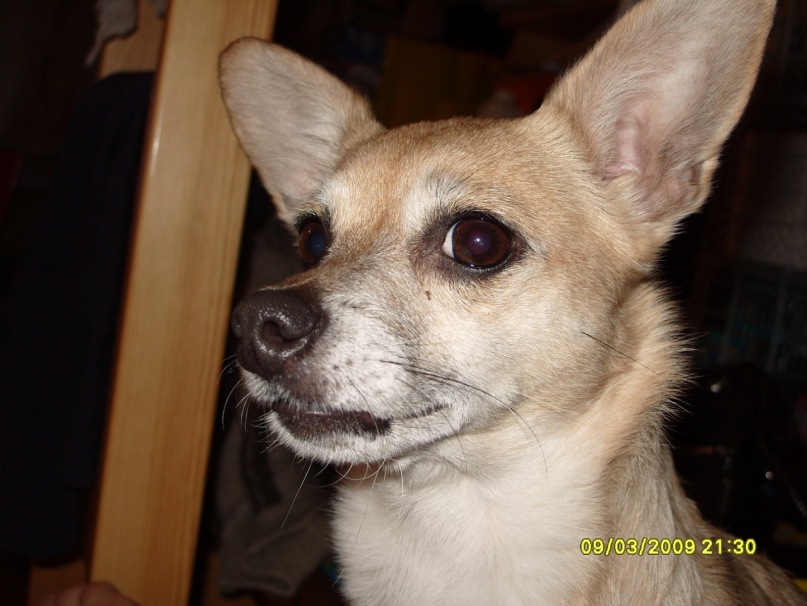 @gent @gent фотография #31