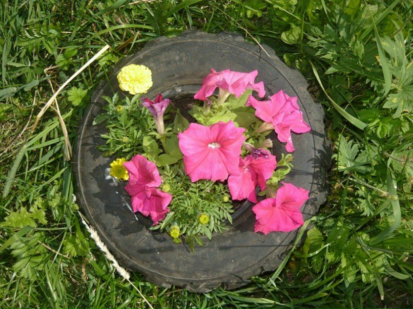 №4, Юлия Исаева(Блинникова) №4, Юлия Исаева(Блинникова)