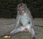 Фотография Жданова Михаила