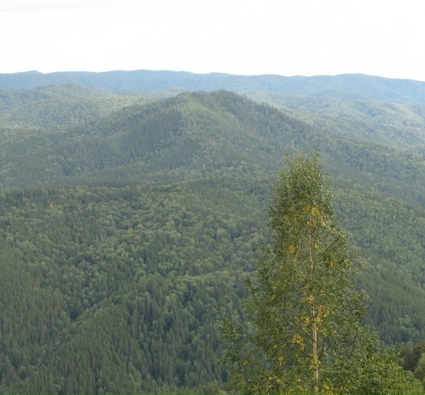 Евгений Ермаков фотография #9