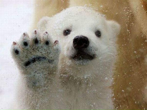 Наська..солнышко.. Константинова фото №4