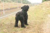 Slash Dot фотография #36 (источник - https://vk.com/id614985)