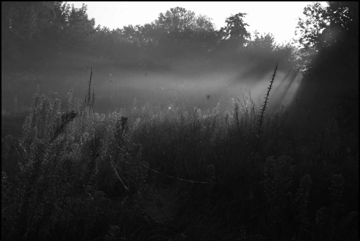 Саша Тарасенко фотография #11