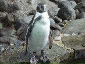 Фотография Кадышевой Елены