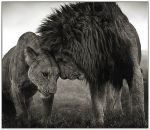 Hey Key фотография #2 (источник - https://vk.com/id651949)