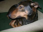 Фотография Кипреевой Татьяны