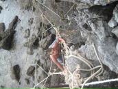 Максим Терентьев фотография #28 (источник - https://vk.com/id961502)