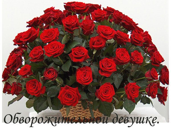 №3, Сугра Гаджиева, Москва №3, Сугра Гаджиева, Москва