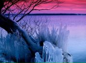 Фотография Кочелягиной Ирины