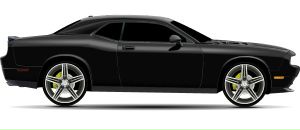 Руслан Бордіян фотография #37 (источник - https://vk.com/id67069510)