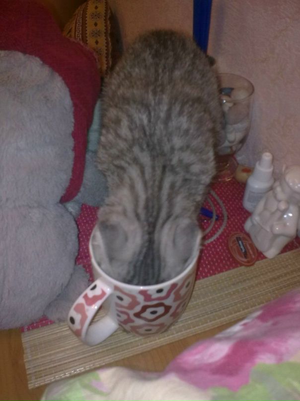 Сергей Данильченко фотография #36