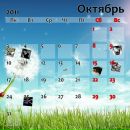 Олеся Полякова фотография #5 (источник - https://vk.com/id100181150)