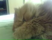 Міша-Іра Павлик фотография #10 (источник - https://vk.com/id42441609)