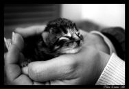 Фотография Пурей Елены