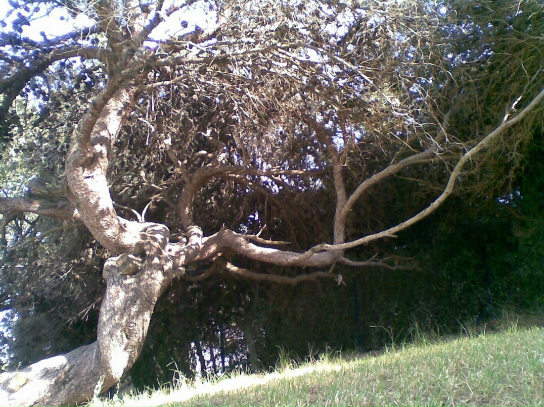 Валера Долженко фотография #13