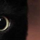 Viki @@@@@@@@@ фотография #29 (источник - https://vk.com/id141663195)