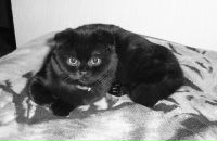 Фотография Мениахметовой Динары