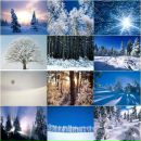 Вітя Пилипчук фотография #4 (источник - https://vk.com/id71015610)