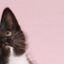 Олександра Сузінович фотография #21 (источник - https://vk.com/id67921577)