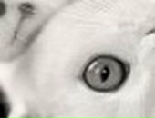 Уляна Гапук фотография #38 (источник - https://vk.com/id6604501)